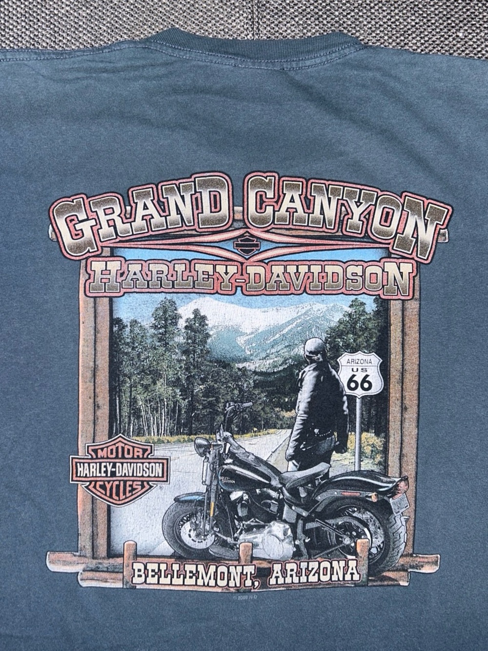 Y2K Grand Canyon Harley-Davidson Bellemont AZ Graphic Tee - Blue